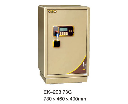 EK-203 73G